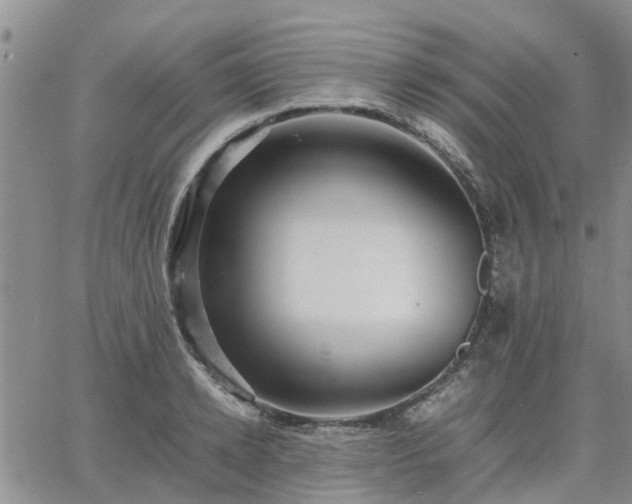 X0000064730942200602171638