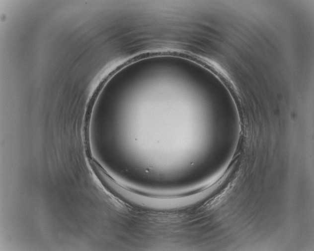 X0000064730943200602171638