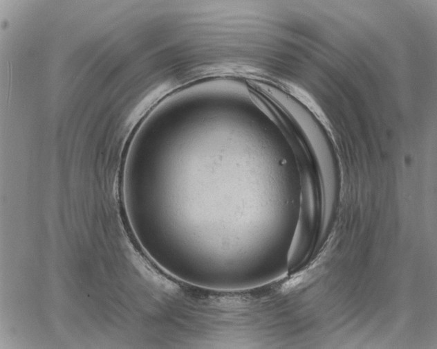 X0000064730946200602171638