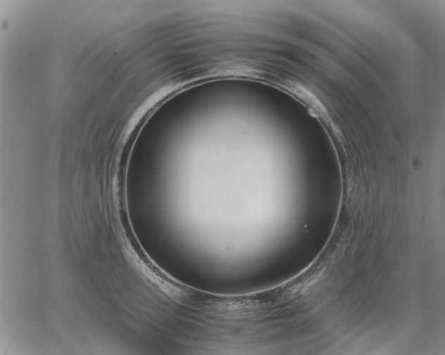 X0000064730947200602171638