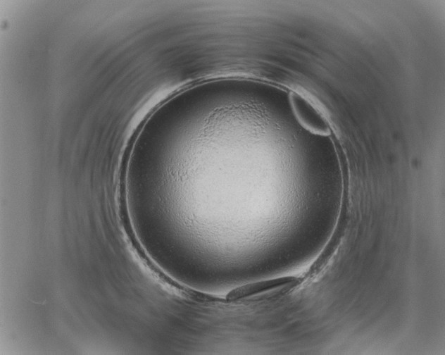 X0000064730949200602171638