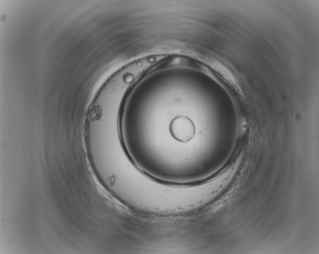 X0000064730950200602171638