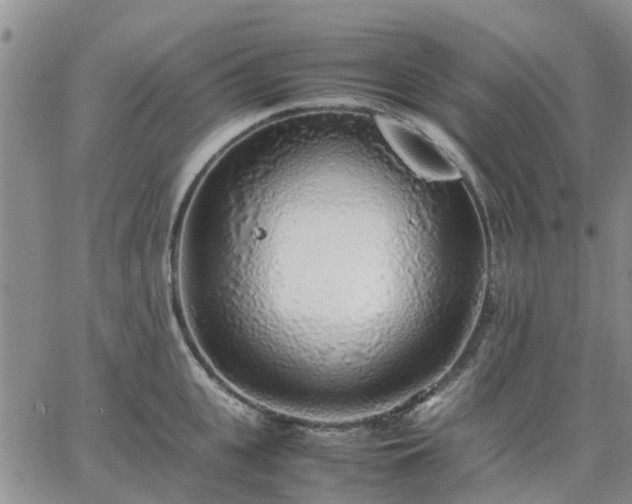 X0000064730951200602171638