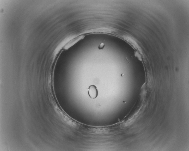 X0000064730952200602171638