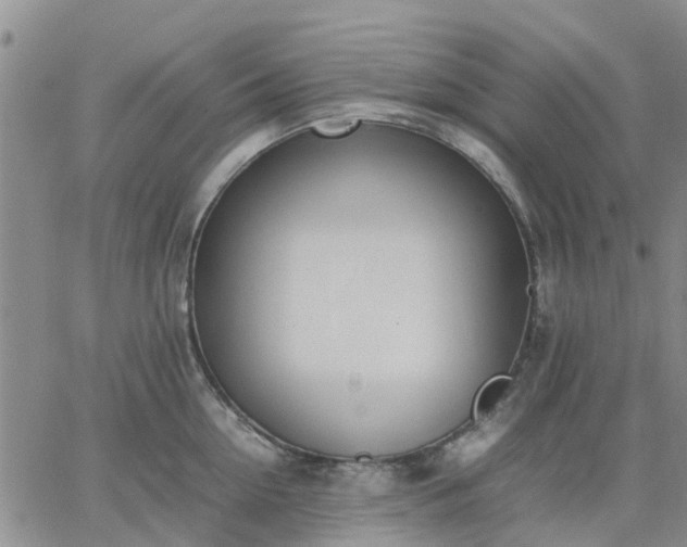 X0000064730954200602171638