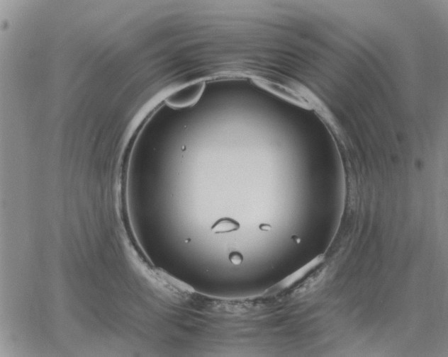 X0000064730955200602171638