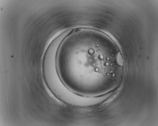 X0000064730957200602171638