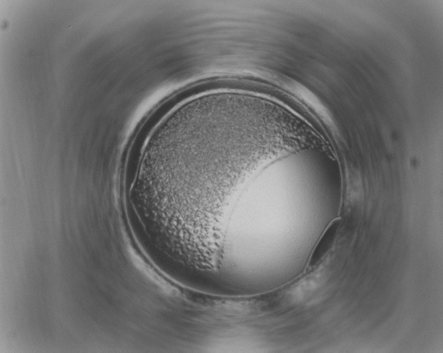 X0000064730958200602171638