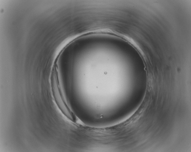 X0000064730959200602171638