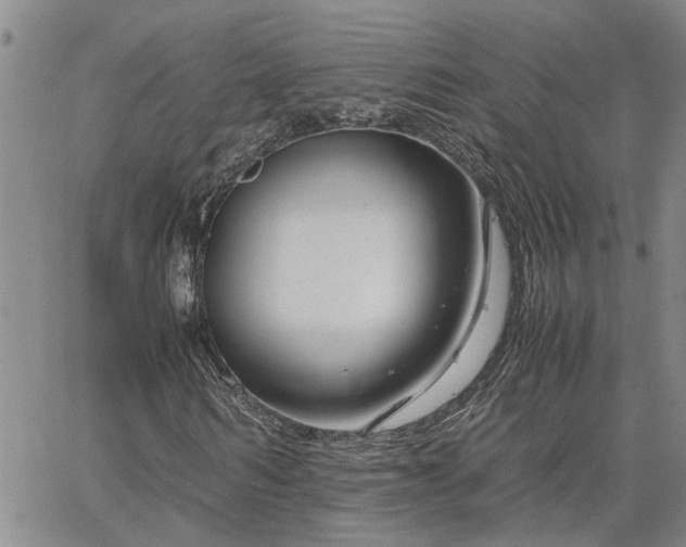 X0000064730962200602171637