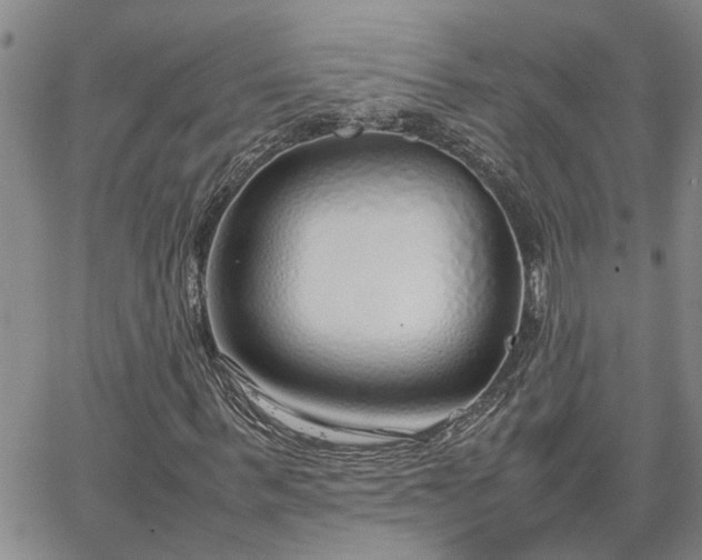 X0000064730963200602171637