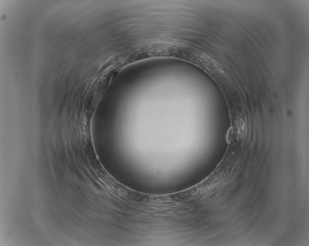 X0000064730964200602171637