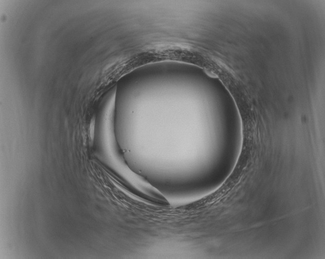 X0000064730965200602171637