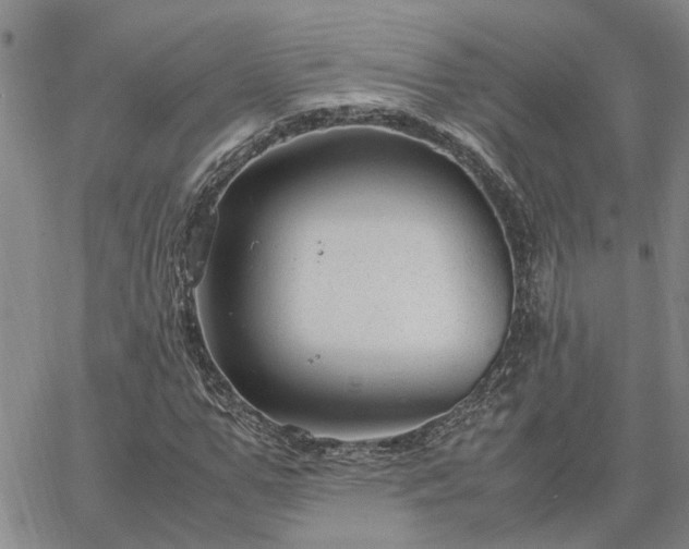 X0000064730967200602171637