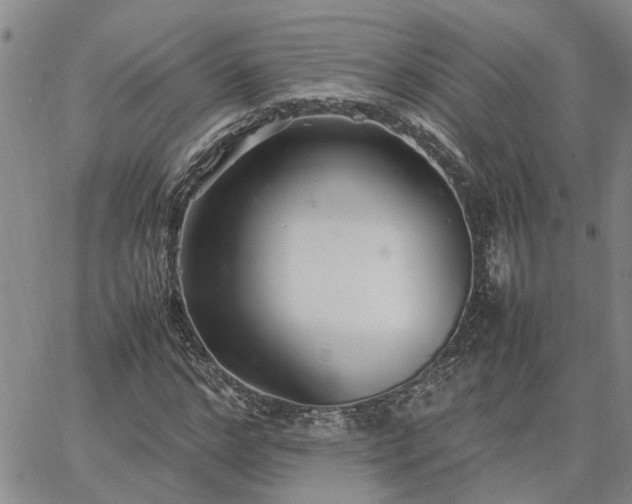 X0000064730968200602171637