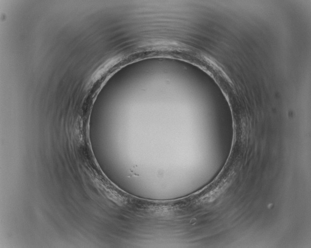 X0000064730970200602171637