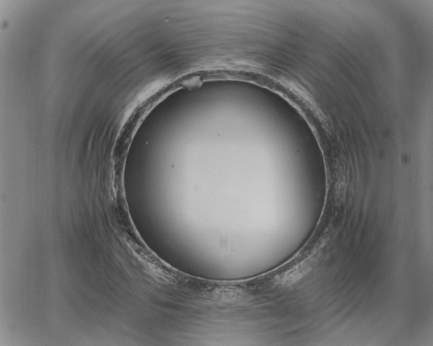 X0000064730974200602171637