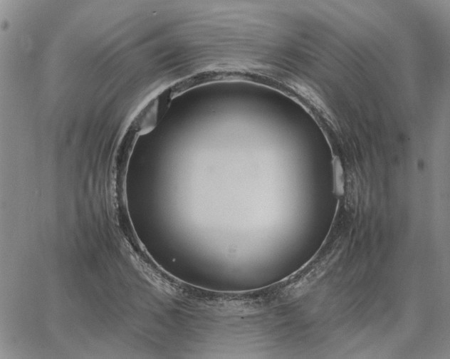 X0000064730976200602171637