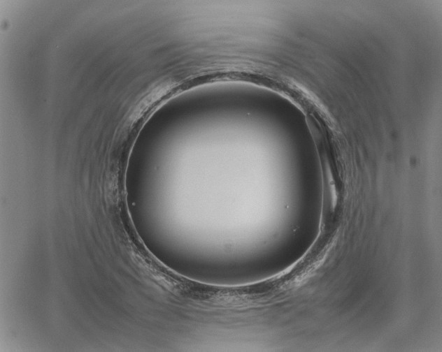 X0000064730977200602171637