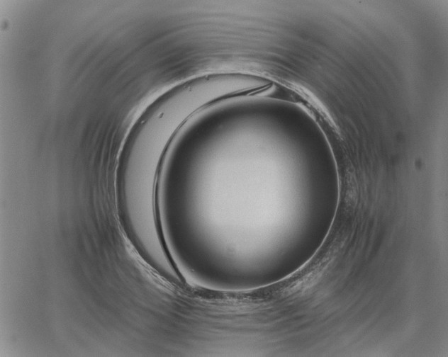 X0000064730980200602171637