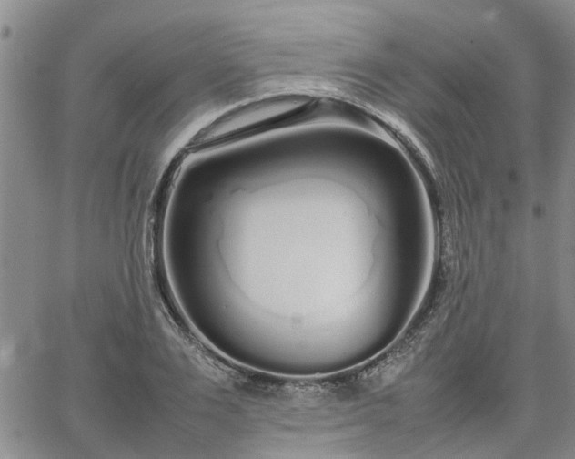 X0000064730983200602171637