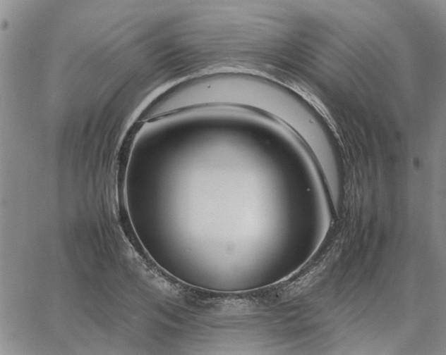 X0000064730984200602171637