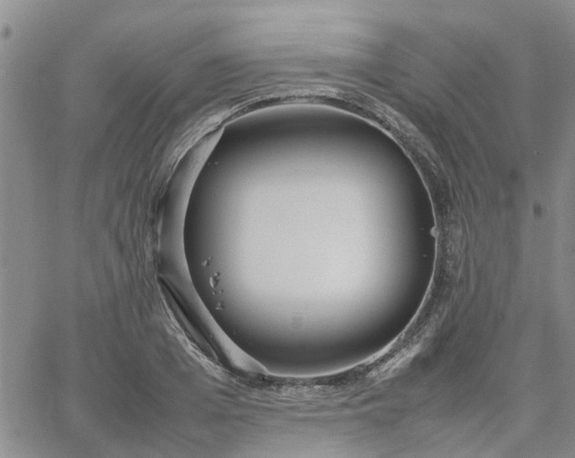 X0000064730985200602171637