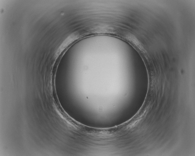 X0000064730986200602171637