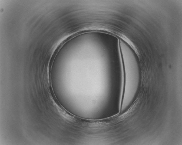 X0000064730988200602171637