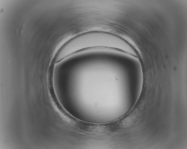 X0000064730991200602171637