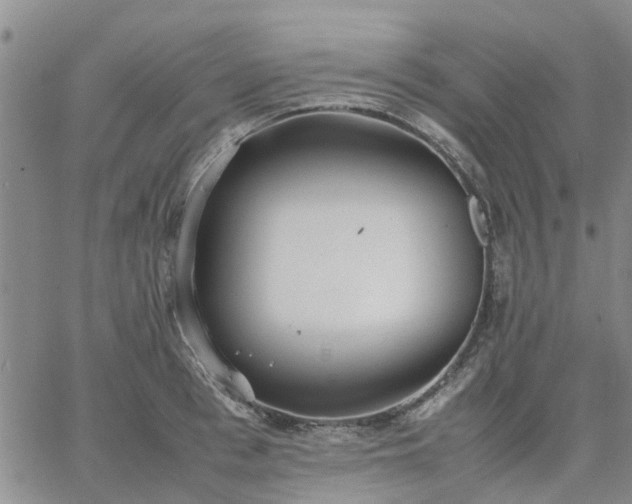 X0000064730993200602171637