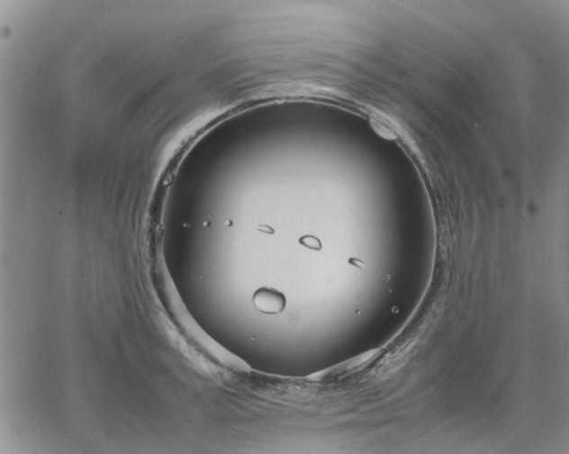 X0000064730995200602171637