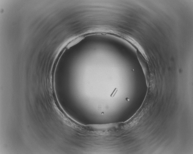 X0000064730996200602171637