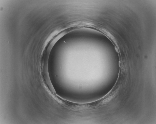 X0000064730997200602171637