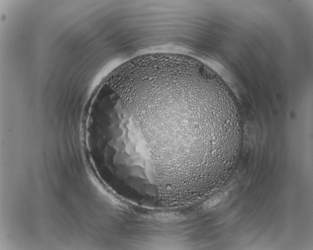 X0000064730998200602171637