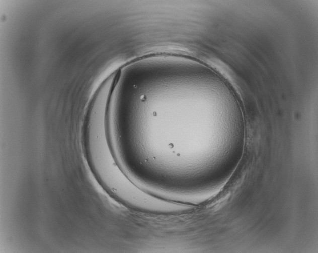 X0000064730999200602171637