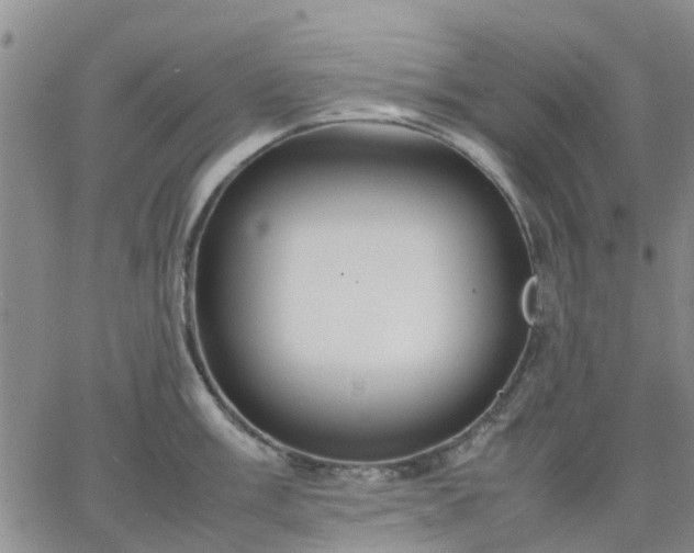 X0000064731003200602171637