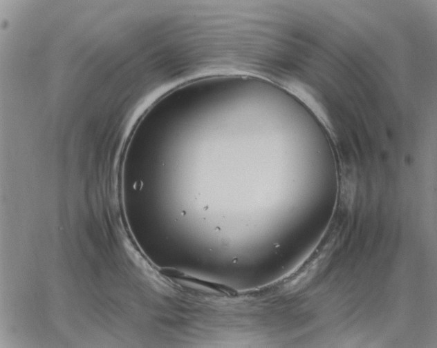 X0000064731004200602171637