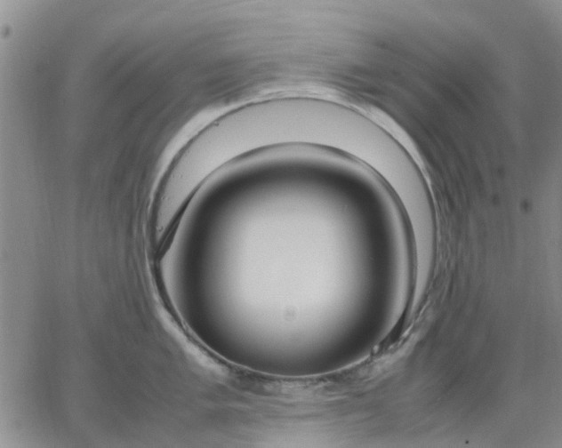 X0000064731005200602171637