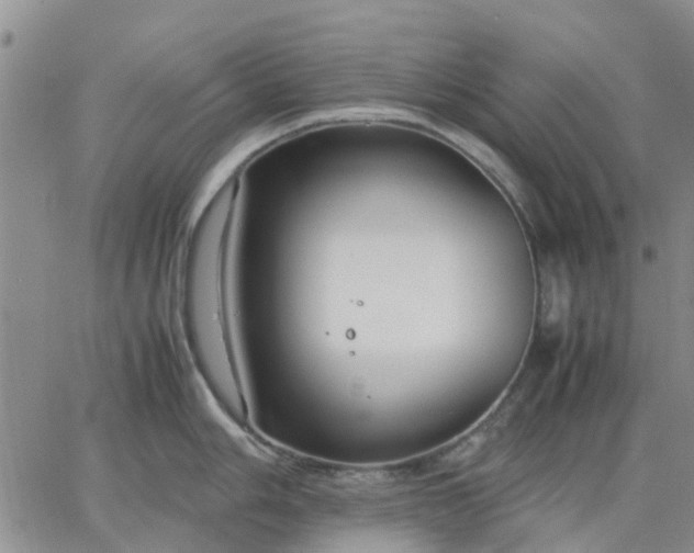 X0000064731006200602171637