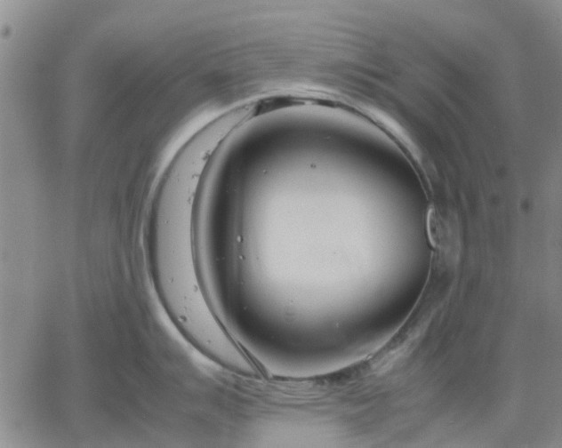 X0000064731007200602171637