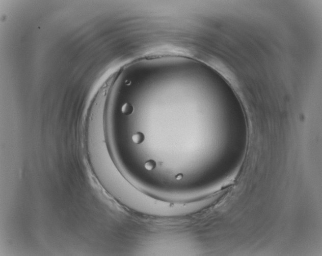 X0000064731008200602171637