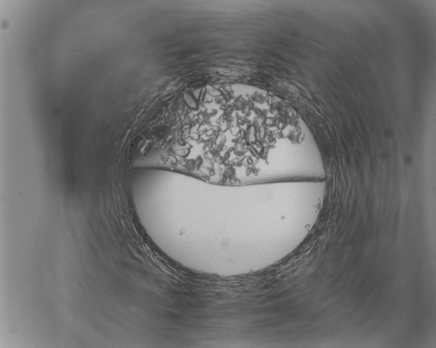 X0000064731009200602171636