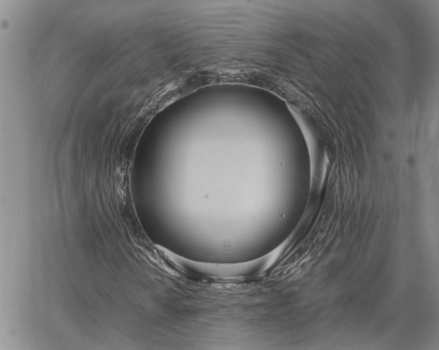 X0000064731010200602171636