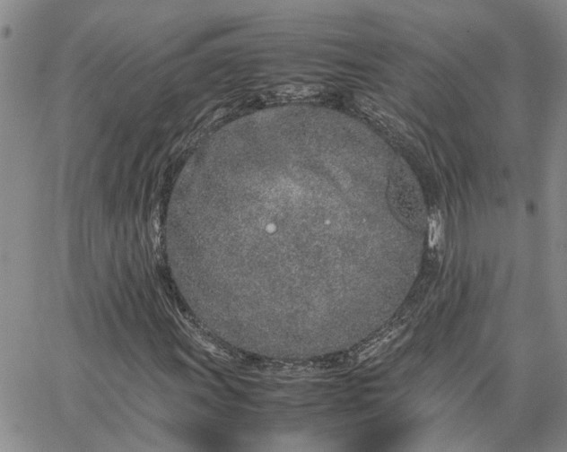 X0000064731011200602171636