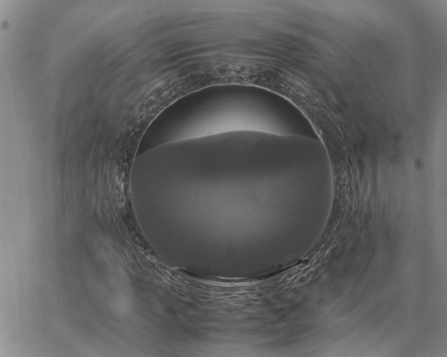 X0000064731013200602171636