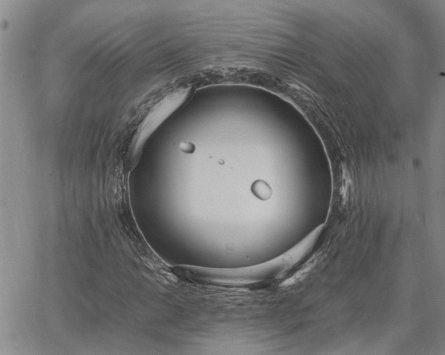 X0000064731014200602171636