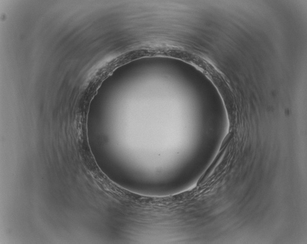 X0000064731016200602171636