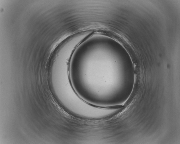 X0000064731018200602171636