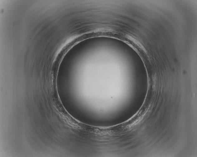 X0000064731021200602171636